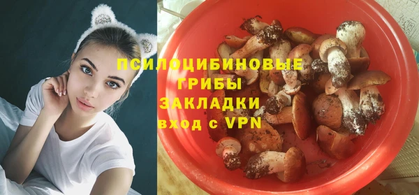 альфа пвп Карталы