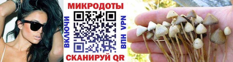 kraken как войти  закладка  Шарья  Псилоцибиновые грибы GOLDEN TEACHER 